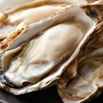 Oyster course