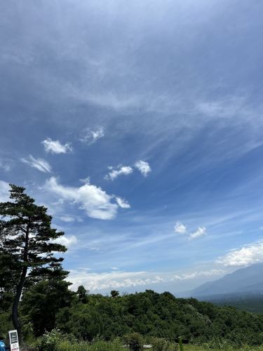 八ヶ岳ハイボール　ドライフルーツを添えて