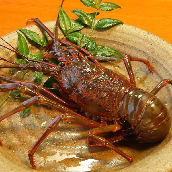 伊勢海老会食　9品