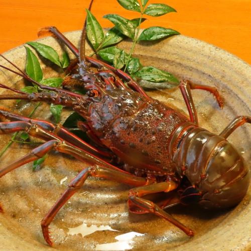 伊勢海老会食　9品