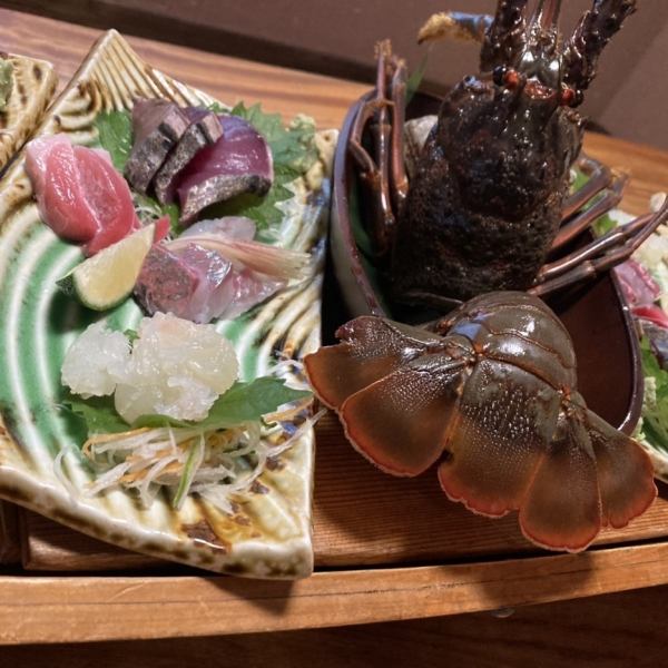伊勢海老刺身付きおまかせコース 8品