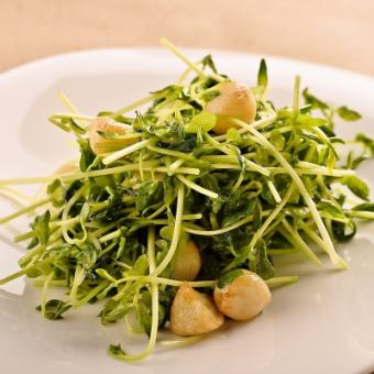 豆苗 마늘 볶음 Sprouts Garlic