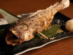 本日の焼き魚