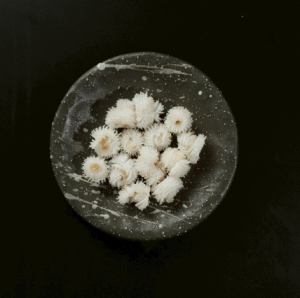 Honeycomb/Urute