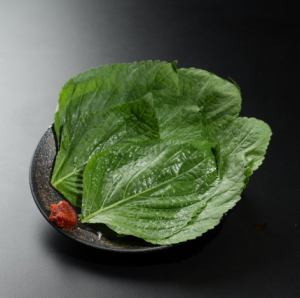 Sesame leaves