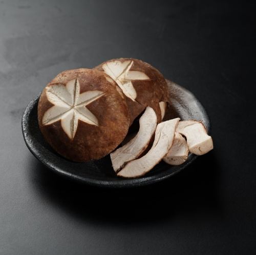 特大椎茸