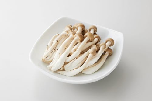 布纳姬路