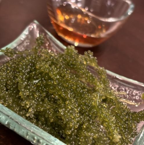 沖縄県直送海ぶどう