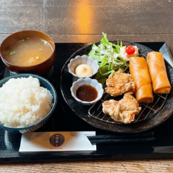 Fried chicken spring roll rice