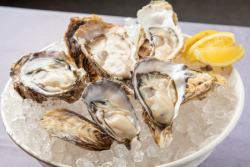 Today's carefully selected raw oysters