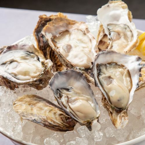 本日の厳選生牡蠣