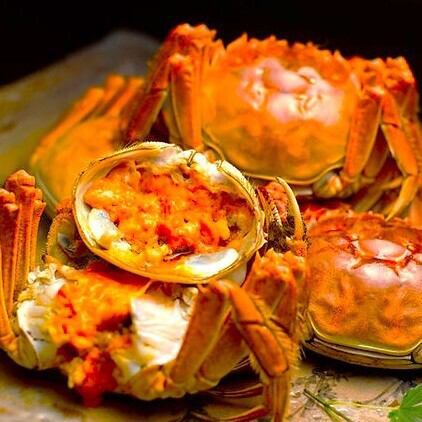 上海蟹、日本上陸!10/28現在、150gは3600円!