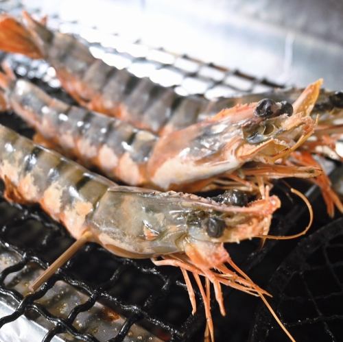 特大!青海老塩焼き