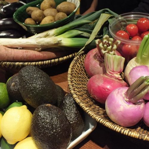 ◆ Seasonal vegetables on the counter ◆ ◆