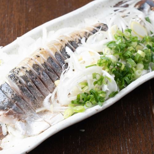炙り〆鯖