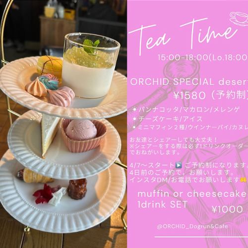 人気デザートが豪華に盛り付けられた【TeaTimeコース】