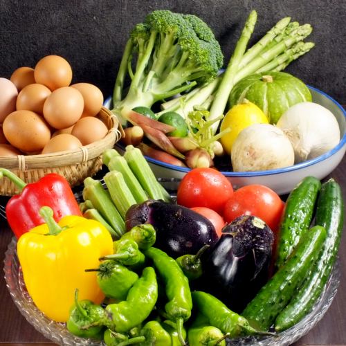契約農家の有機野菜