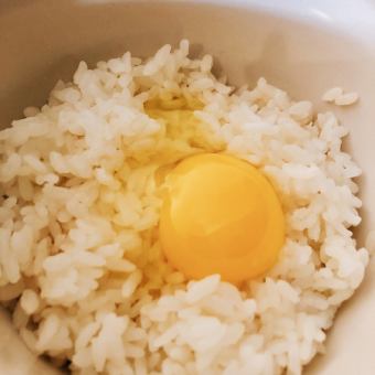 契約卵の玉子かけご飯