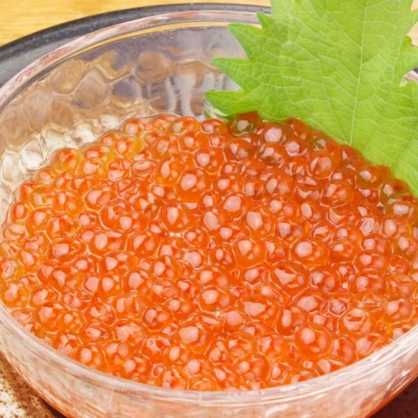 Excellent! [Homemade salmon roe pickled in soy sauce]