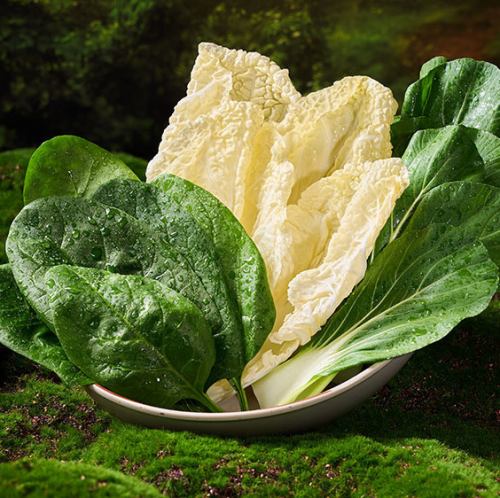 野菜の盛り合わせ