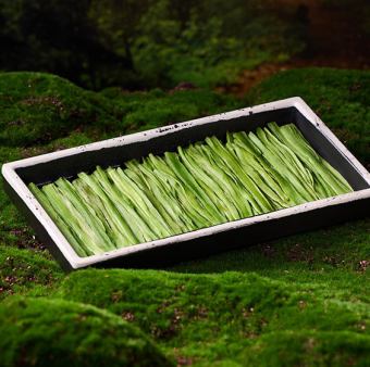 ヤマクラゲ（半分）