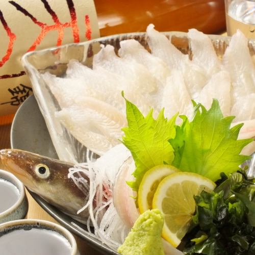 Conger eel sashimi