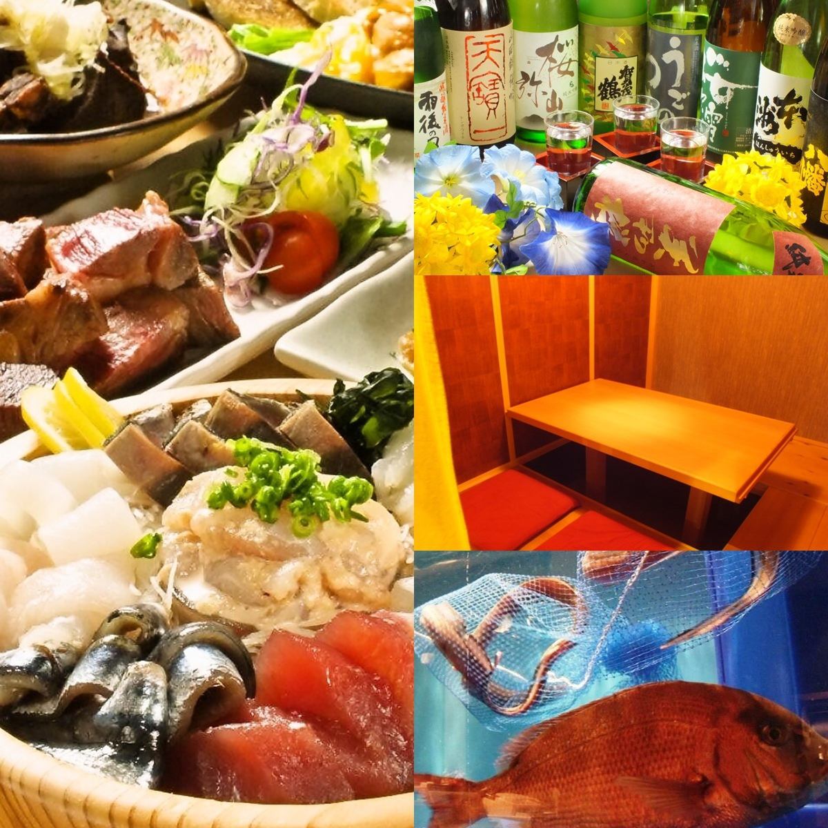 我們提供來自店內水族館的各種新鮮瀨戶內海鮮和廣島當地清酒。