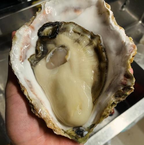 牡蠣をはじめとして、その時期一番美味しい食材をご提供
