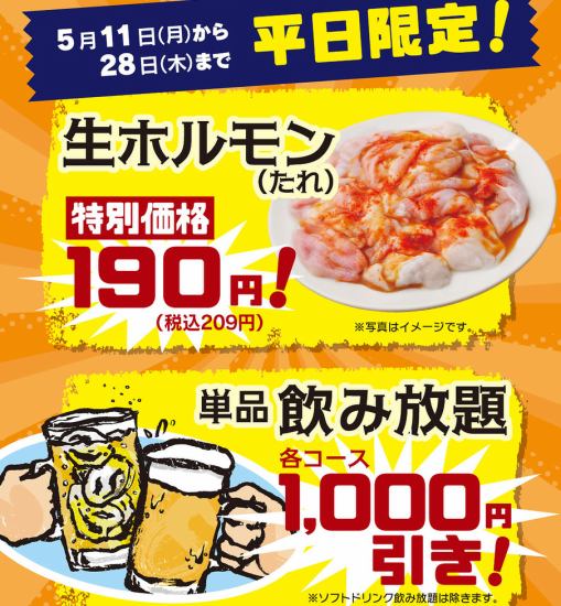 平日限定！アルコール飲み放題＆生ホルモンたれ特別価格！28日まで
