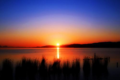 2026年1月2日（金）

新年あけましておめでとうございます。
旧年中はたくさんのご来店と温かいご支援を賜り、心より御礼申し上げます。
本年も“出雲のご馳走”をお届けできるよう、一つひとつの料理に真心を込めて営業してまいります。

本日 1月2日 より 3日間、年始特別営業《出雲祝彩》 を開催いたします。
ご予約いただいた皆さま、誠にありがとうございます。
新年の始まりにふさわしいひとときをお過ごしいただければ幸いです。

【お知らせ】1月14日より《厳冬コース》がスタートします

冬の旨味をぎゅっと閉じ込めた、
焼きあご出汁 × 島根の冬味覚 をテーマにした季節限定コース。

寒い季節だからこそ美味しい、
「温」「香」「旨」を重ねた厳冬ならではの構成をご用意いたします。

今後、詳細は順次ご案内いたしますのでお楽しみに。

《本日〜年始の営業について》

※すでにご予約は受付は終了しておりますのでお電話にて承ります。なお、2日、3日は満席です。

1月2日（金）〜4日（日）
年始特別営業《出雲祝彩》
12時／15時／18時スタート（完全予約制）

【菊名 レストラン／和食／しゃぶしゃぶ】

菊名駅徒歩5分の隠れ家レストラン。
島根の旬食材を活かした創作和食と、
焼きあご出汁のしゃぶしゃぶを少人数でゆったり楽しめます。

菊名エリアでレストランをお探しの方、
和食で静かに食事をしたい方におすすめです。
接待・記念日・ご家族でのご利用にも最適。

完全予約制／1日3組限定
ご予約はプロフィールのリンクからどうぞ。

#新年
#祝彩
#厳冬コース
#出雲のご馳走
#和食
#しゃぶしゃぶ
#菊名レストラン
#創作和食
#食材
#予約限定
#年始イベント
#島根食材
#焼きあご出汁
#温かさ
#特別営業
#徒歩五分
#少人数
#隠れ家
#季節限定
#趣味
#静かに食事
#ご予約承り中
#食の愉しみ
#特別な時間
#隠れ家レストラン
#美味しさ
#心温まるひととき
#冬の風味
#出雲祝彩
#特別料理