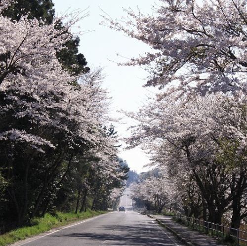【春季コース】隠岐-OKI-隠岐の海と季節の恵みを一献とともに。魚介を中心に軽やかに仕立てた、出雲の海膳-