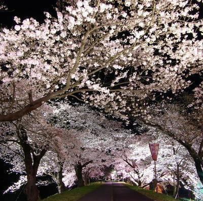 【春季コース】奥出雲コース｜里山の恵みと、冬の滋味を一献とともに。肉を主に据えた出雲の肉膳