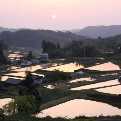 【僅限工作日】雲南套餐 | 享用飛魚湯底的奧出雲烤豬肉涮涮鍋