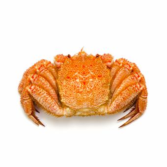 1 boiled whole hairy crab