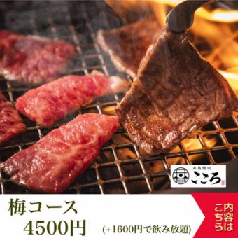 ◆牛すじ煮込み・お肉盛り合わせ・デザートなど【梅コース】4500円（税込）