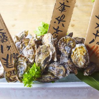 【オープン記念】名物！殻付き生牡蠣焼き牡蠣食べ放題コース2時間飲み放題付8品7000円→6000円