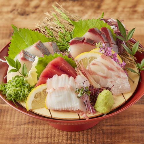 名物さしもり　鮮魚5種
