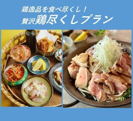 【飲み放題付】社内会食・宴会に最適!贅沢鶏尽くしプラン〈全12品〉5,000円(税込)