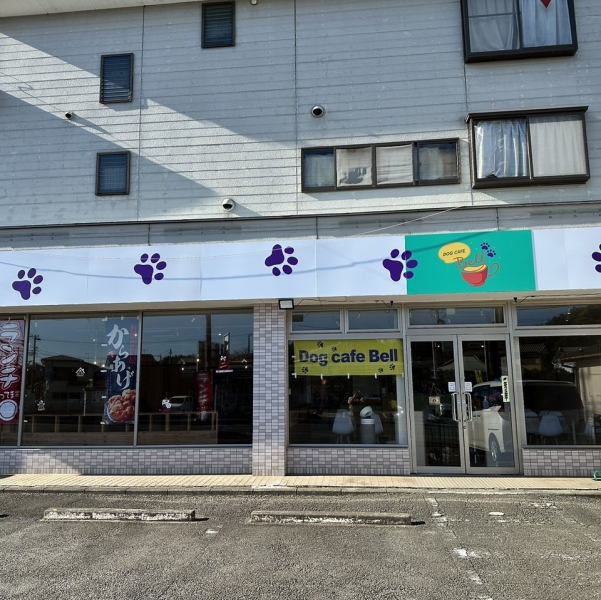 DOG CAFE Bellの貸切プランは平日1時間8000円（税込）で利用できます☆愛犬と一緒に広々とした空間で特別な一時を過ごせる内容になっています。お食事やドリンクは別途ワンオーダー制で楽しめ、自由度の高さが魅力♪貸切時には木目調で温かみのある雰囲気を完全に独占できるので、記念日やイベントにおすすめです◎