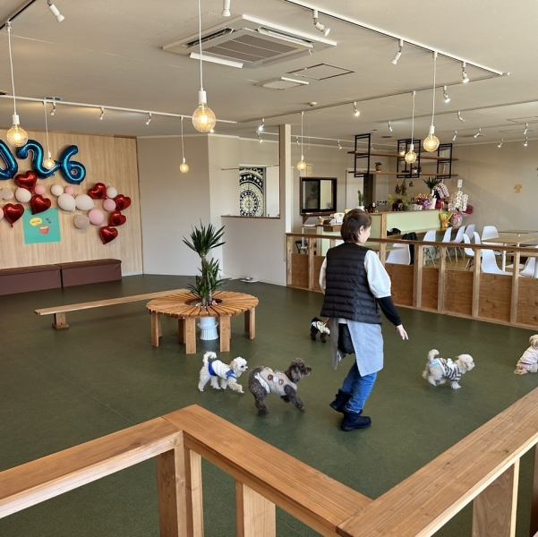 お一人様や少人数でも心地よく利用できる空間をご提供◎カウンター席はおしゃれな雰囲気で1人でも気軽に過ごせ、テーブル席は友人やご家族とのんびり食事が楽しめます♪木の温もりを大切にしたインテリアは落ち着きを演出し、居心地の良さを感じられる工夫が満載！ワンちゃん連れでも快適に過ごせます！