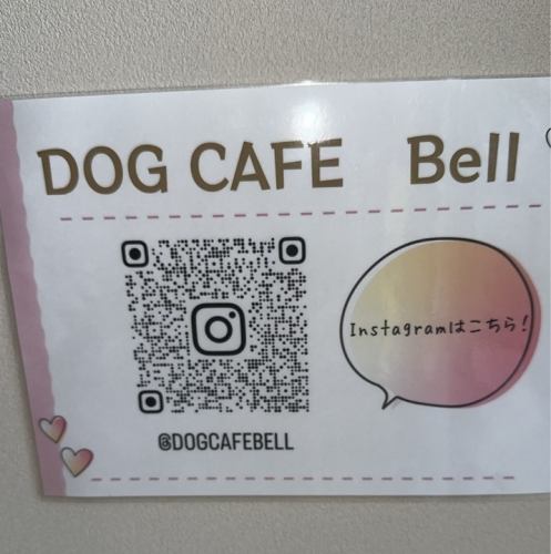 SNSはこちらから!!