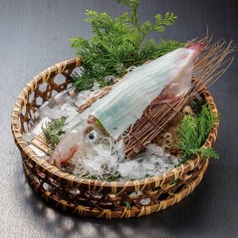 [Hishou Kaiseki Course] Nine dishes including live sashimi, salt-grilled blackthroat seaperch, and Kyushu-produced wagyu beef