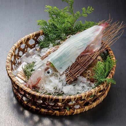 [Hishou Kaiseki Course] Nine dishes including live sashimi, salt-grilled blackthroat seaperch, and Kyushu-produced wagyu beef