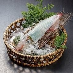 【2H 음료 무제한(LO90분) 첨부】 「「히쇼~히쇼~」회석」생활・와규 스테이크 등 포함한 전10품