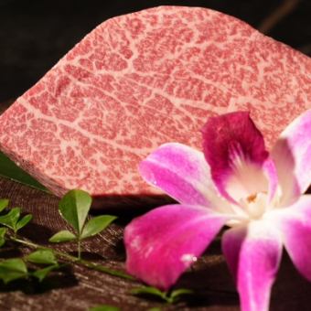 極み生タン・ミスジの焼きしゃぶ・黒毛和牛のフィレなど名物が味わえる　【ENGA焼肉コース】　