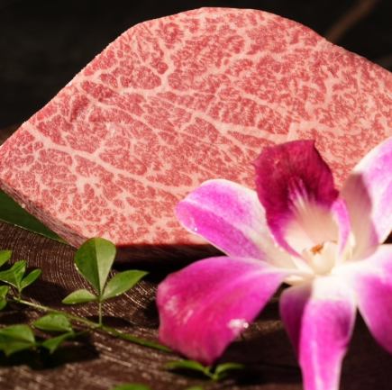 極み生タン・ミスジの焼きしゃぶ・黒毛和牛のフィレなど名物が味わえる　【ENGA焼肉コース】　