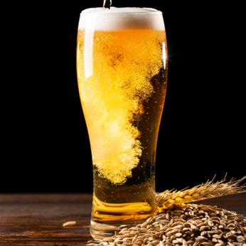 【绍兴酒等单品无限畅饮】提供生啤,90分钟,1,980日元(含税2,178日元)