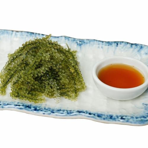 海ぶどう