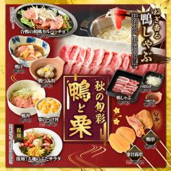 Autumn seasonal "Duck and Chestnut Fair" held