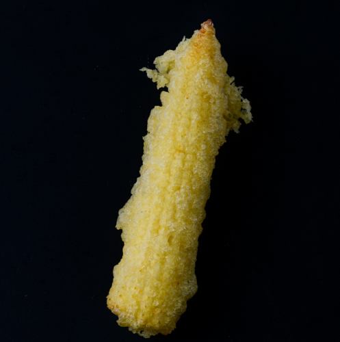 Baby Corn